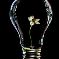 hush-naidoo-jade-photography-SutAduhzdRQ-unsplash (2) (1)