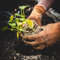 jonathan-kemper-CbZh3kaPxrE-unsplash (1) (1) (1)