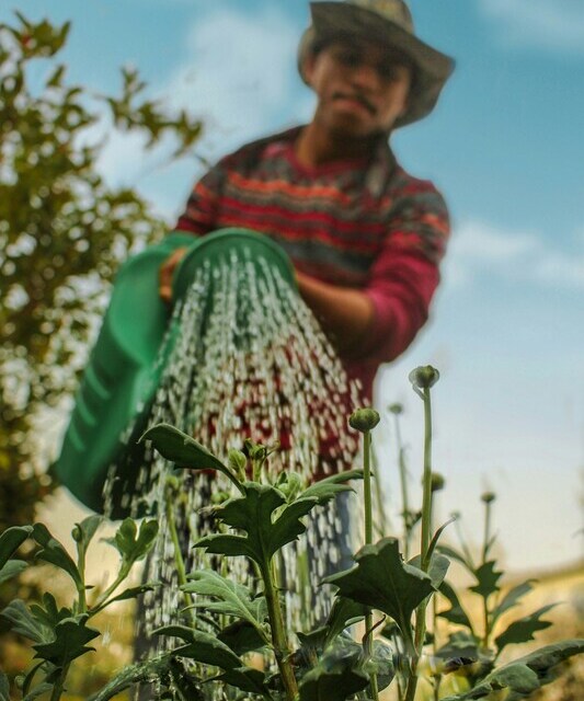 almani-qhizq_V876M-unsplash (2) (1)