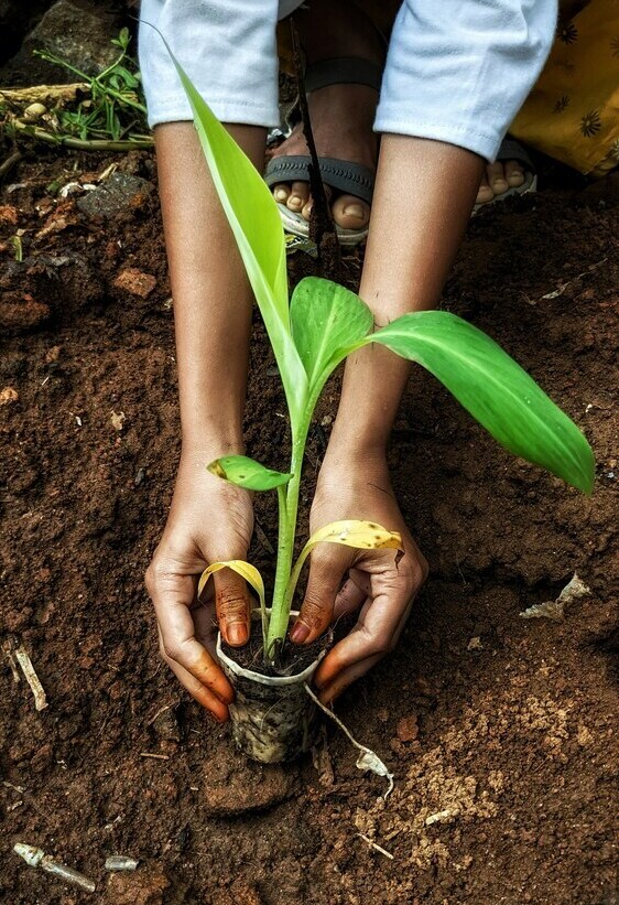 emmanual-thomas-_60_T2ReTDk-unsplash (1) (1) (1)